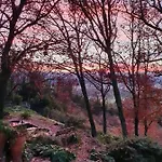 Monteze Paradis