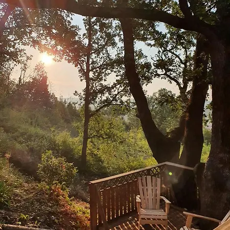Monteze Paradis Bed & Breakfast *