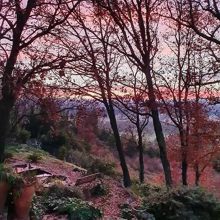 Monteze Paradis