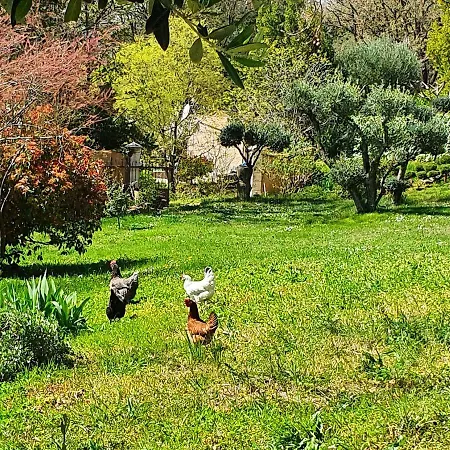 Monteze Paradis Bed & Breakfast