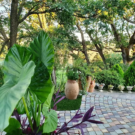 Monteze Paradis Saint-Christol-lès-Alès