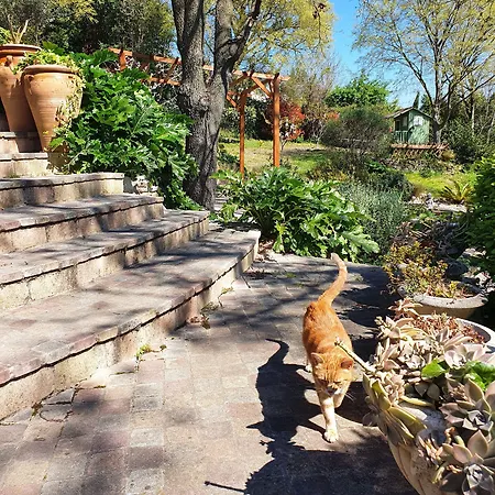 Monteze Paradis Couette-café *