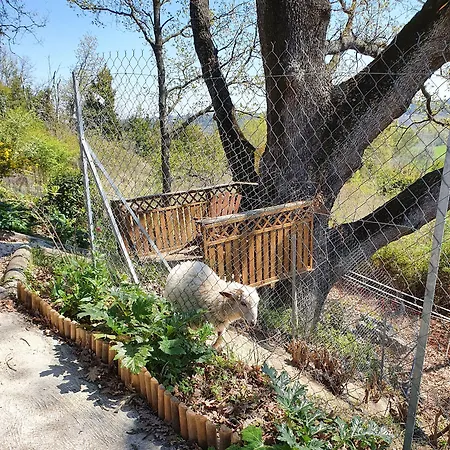 Monteze Paradis Panzió