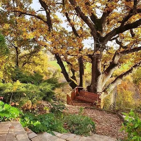 Monteze Paradis Nocleg ze śniadaniem