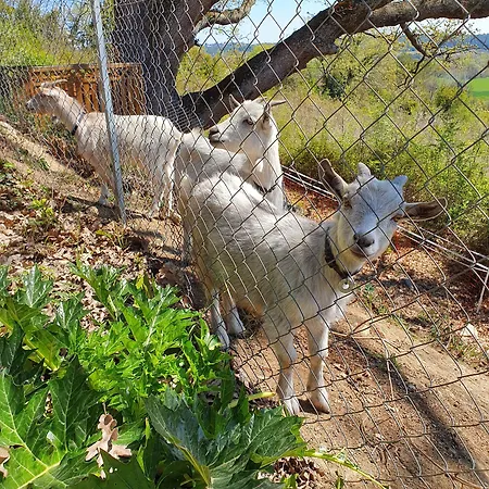 Monteze Paradis Nocleg ze śniadaniem Saint-Christol-lès-Alès