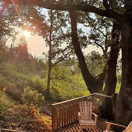 Bed & Breakfast Monteze Paradis Saint-Christol-lès-Alès