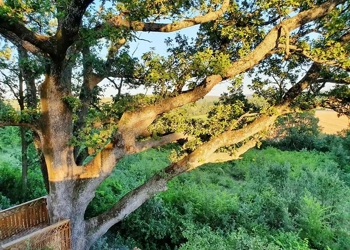 Monteze Paradis Saint-Christol-lès-Alès
