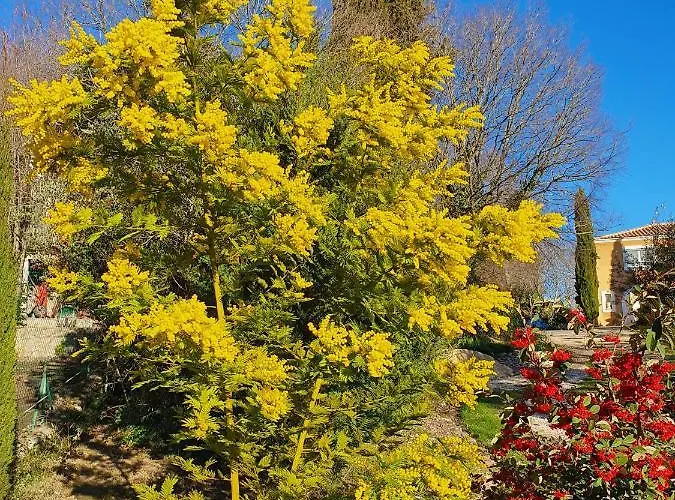 Monteze Paradis Saint-Christol-lès-Alès