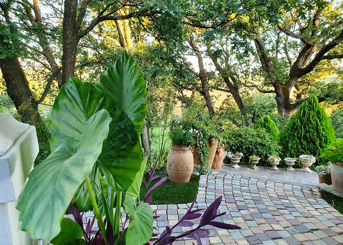 Monteze Paradis Saint-Christol-lès-Alès