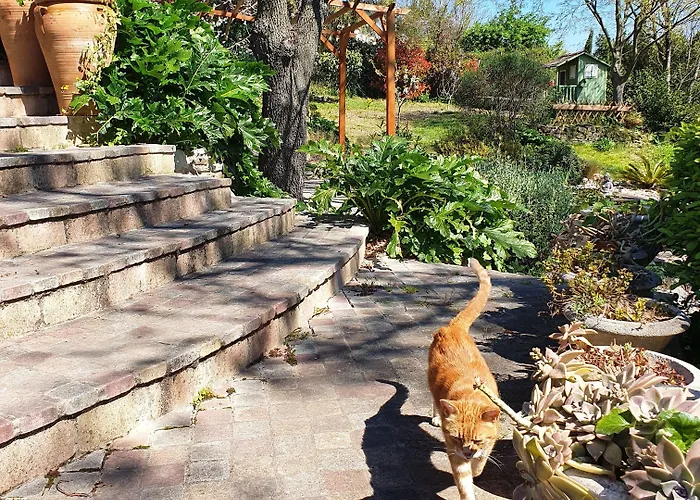 Monteze Paradis Bed & Breakfast *