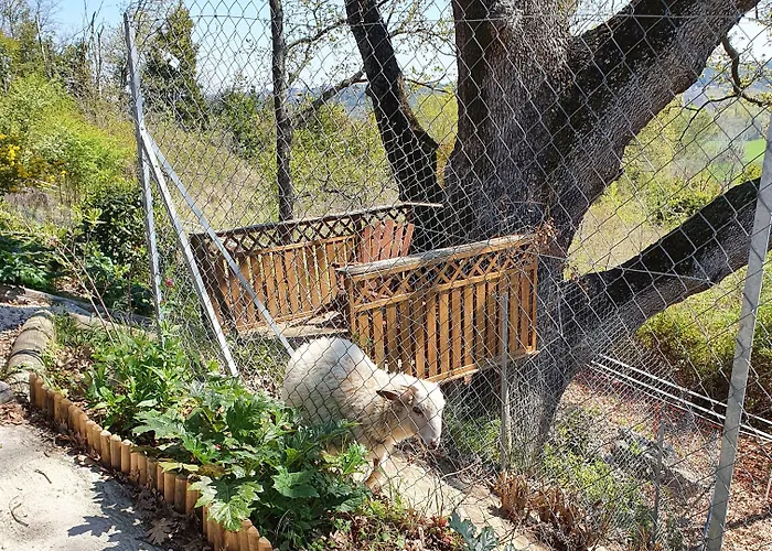 Monteze Paradis Bed & Breakfast